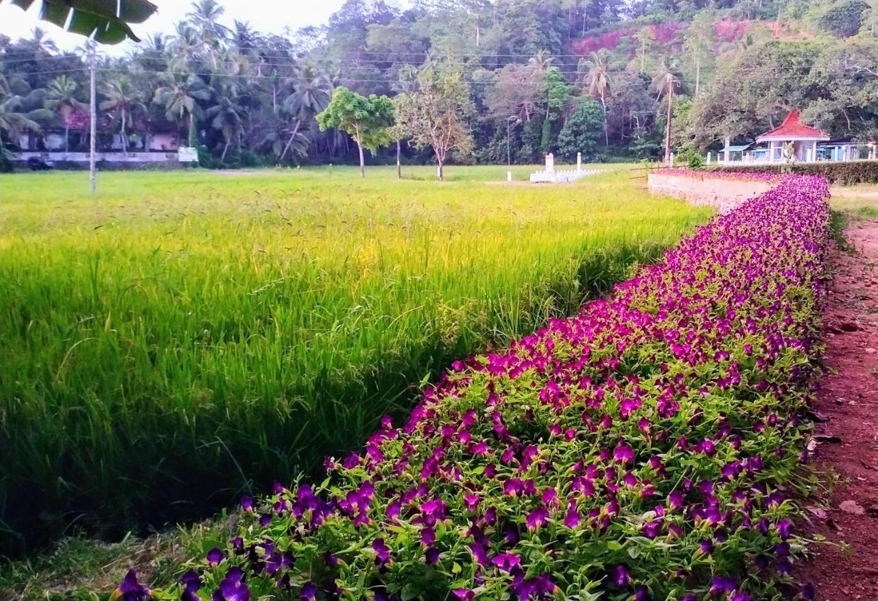 Leisure Land Bed & Breakfast Galle Exterior photo